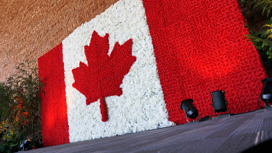 Canadian Flag Rose Wall Backdrop